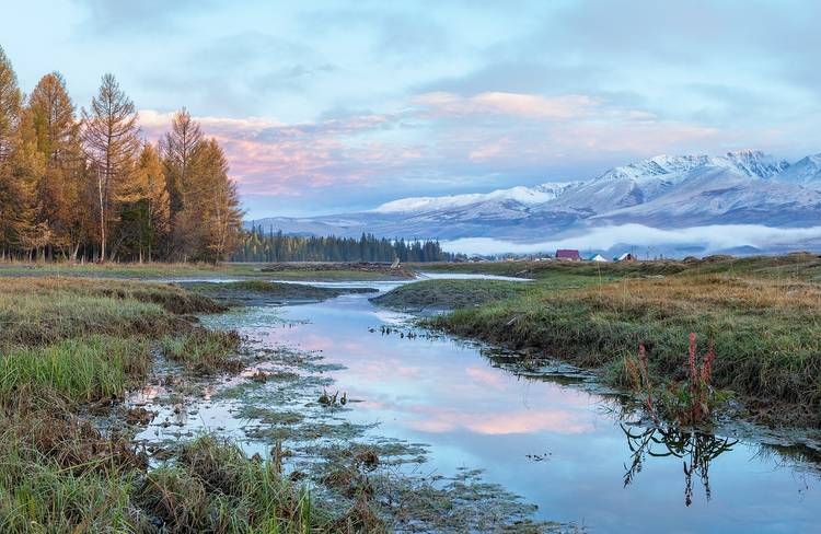 A trip to Altai: a unique fishing experience | TURIZM