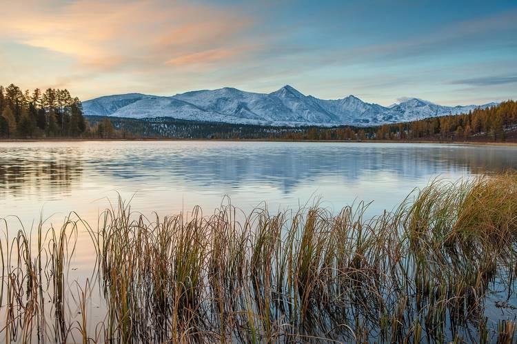 A trip to Altai: a unique fishing experience | TURIZM