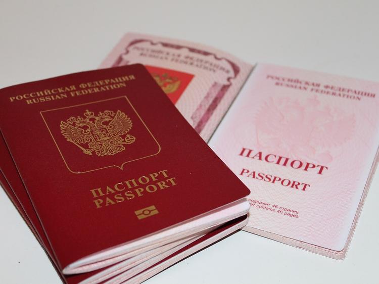 Biometric passport for 10 years: how to register in 2023? | TURIZM