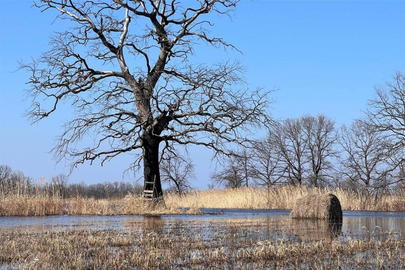 Spring in Belarus: where to go and where to go?