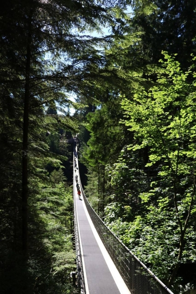 Vancouver: a location where nature meets urban rhythm | Anton Borodachev's Blog