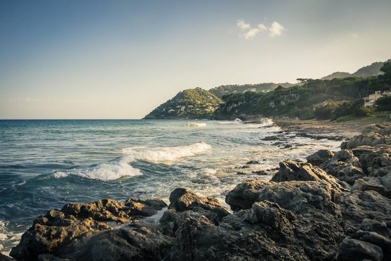 Palma: The Pearl of the Balearic Islands | Anton Borodachev's Blog