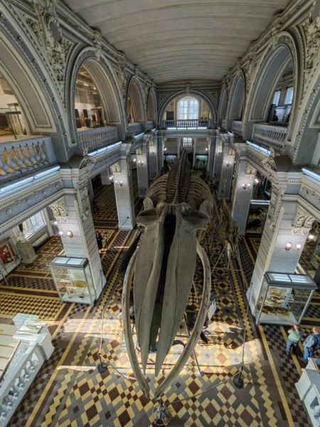 How to get to St. Petersburg from Pulkovo airport? 12 tips