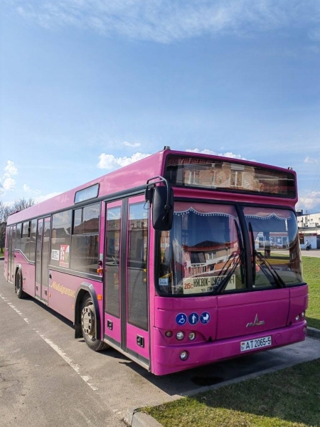 How to get to Nesvizh from Minsk: 4 best ways