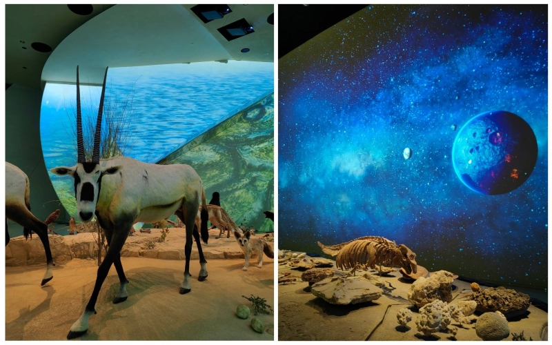 Sights of Doha: TOP 40 interesting places in Qatar