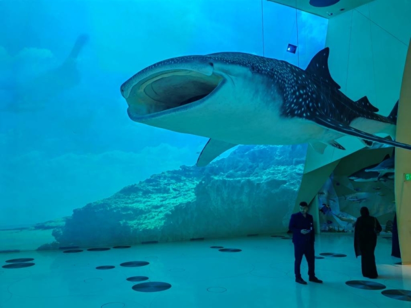 Family holidays in Qatar: where to go with a child in Doha?