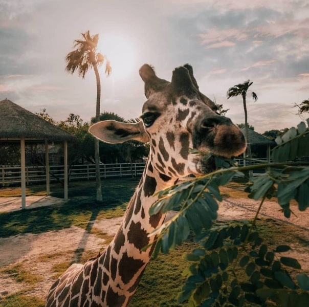 Family holidays in Qatar: where to go with a child in Doha?