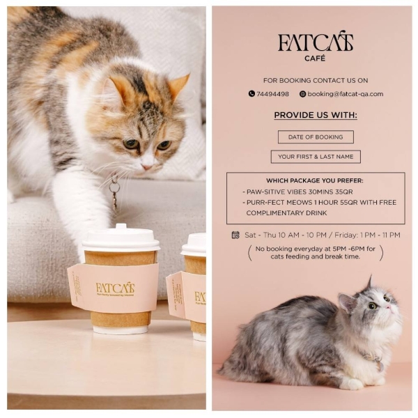 Family holidays in Qatar: where to go with a child in Doha?