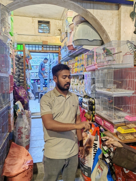 Family holidays in Qatar: where to go with a child in Doha?