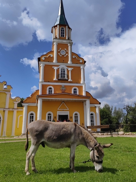 Sula Park: medieval Belarus, an hour from Minsk