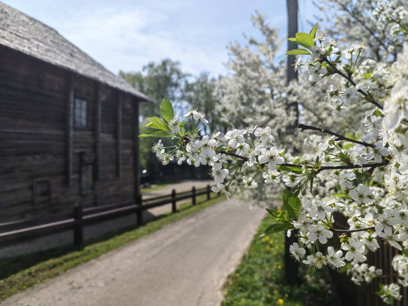 Zaslavl: 5 reasons to travel (+many photos)