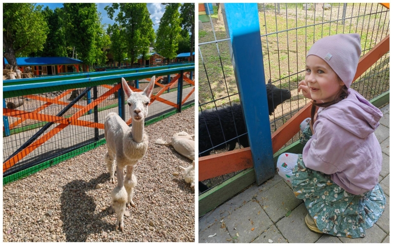 Zaslavl: 5 reasons to travel (+many photos)