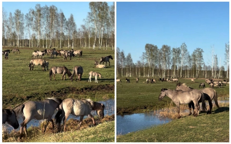 What to do in Belarus? 20 VERY unusual ideas